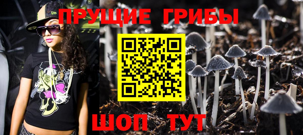 Лесозаводск  Псилоцибиновые грибы Magic Shrooms  Вход с VPN 